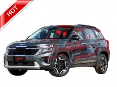 KIA Seltos Family Sedan